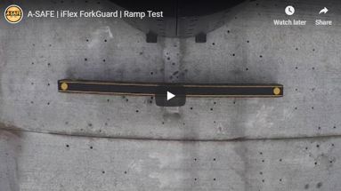 iFlex ForkGuard