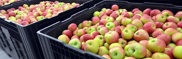 Barrier upgrade increases pedestrian safety