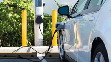 The sustainable option